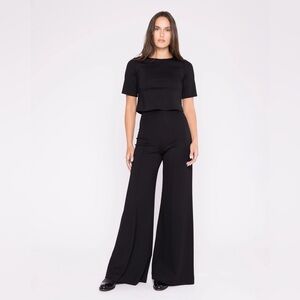 NEW NWT Ripley Rader Black Ponte Knit Wide Leg Pull On Pant 4+- Still Full Price